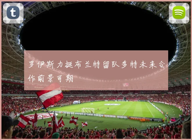 罗伊斯力挺布兰特留队多特未来合作前景可期